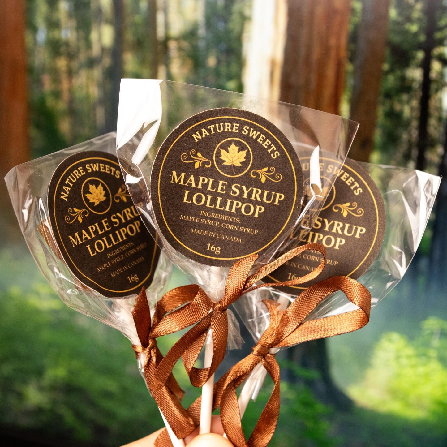 Organic Maple Syrup Lollipops | Handcrafted Hard Candy